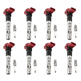 7805-6567-b1 Aceon Ignition Kit For Audi S4 A8 Quattro A6 2003-2009