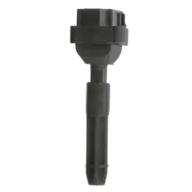 Gn10604 Delphi Ignition Coil