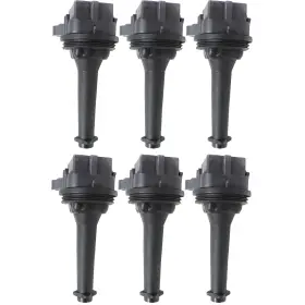 16585486 Evan-fischer Ignition Coil For 2003-2005 Volvo Xc90 T6 99-2005 S80 Set Of 6