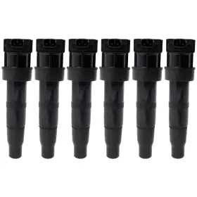 17719405 Evan-fischer Set Of 6 Ignition Coils Sedan For Hyundai Santa Fe Xl Kia Sedona Sorento Azera
