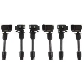 17849420 Evan-fischer Ignition Coils Set Of 6 For Nissan Pathfinder Infiniti Qx4 2000-2001