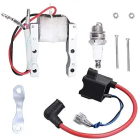 Gator 788481573762 Cdi Ignition Coil Magneto Spark Plug For 49cc-80cc 2-stroke Engine