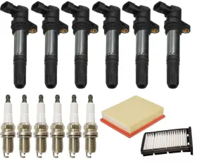 204412 Medallion Auto Parts Ignition Coil Spark Plugs And Filters For Land Rover Freelander 2.5l 2003-2006