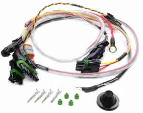 Quickcar Racing 819616015281 Ignition Box Wiring Harness For Spec Asphalt Late-model