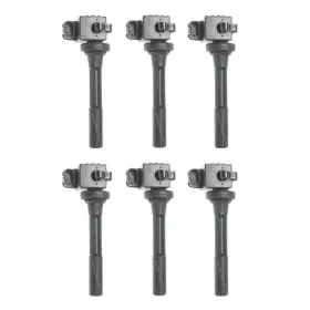 Repi504607 Standard Set-siuf245-6 Ignition Coils Set Of 6 For Isuzu Vehicross Rodeo Acura Slx Honda