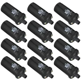Repo504601 Standard Set-siuf2-12 Set Of 12 Ignition Coils For Mb Mercedes Vw 250 Pickup 230 220 356