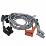 Spark Plug Wire Set Motorcraft WR-6110. Fixed Price $57.00.