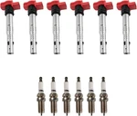 Ignition Kit Coil Spark Plugs Compatible With 05-17 Audi. Fixed Price $231.09.