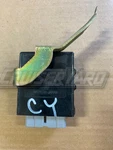 Toyota Land Cruiser UZJ100 Oem Running Light Relay 82642-30020. Fixed Price $56.99.