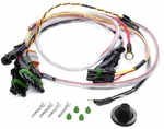 Quickcar Racing Ignition Box Wiring Harness, For Spec Asphalt Late-model. Fixed Price $159.95.
