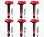 Pindex 6 Pack UF242 Ignition Coils And Iridium Spark Plugs Kit. Fixed Price $81.96.
