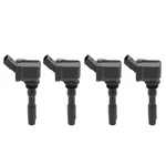 Set Of Ignition Coils For Audi A6 Quattro A8 S4 A3 RS5 SQ5 Sportback RS3 Q8. Fixed Price $62.69.