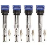 Ignition Coil And Spark Plug Kit For Vw Audi Q3 Quattro A5 Volkswagen Tiguan Cc. Fixed Price $87.99.