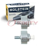 Pc Holstein Ignition Knock Detonation Sensors For 2003-2007 Chevrolet Bj. Fixed Price $63.36.