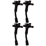 Ignition Coils Set Of 4 Ford Fusion Escape 2017-2019. Fixed Price $94.02.