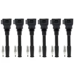 Kit Ignition Coil And Spark Plug F150 Truck Lincoln Nautilus Ford F-150 Edge. Fixed Price $132.99.