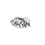 Acdelco 746QQ Spark Plug Wire Set. Fixed Price $92.00.