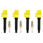Kit Ignition Coil And Spark Plug For Vw Volkswagen Passat Audi A4 Quattro A6 A3. Fixed Price $89.99.