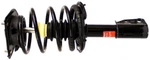 For Buick Lesabre Pontiac Boneville Front Suspension Strut & Coil Spring Monroe. Fixed Price $149.47.