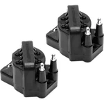 SET-DEGN10123-2 Delphi Ignition Coils Of For Olds Chevy Ninety Eight Pair. Fixed Price $85.50.