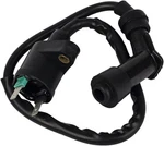 Hifrom Ignition Coil Replacement For Mopeds Scooters Atvs Go Karts Dune.... Fixed Price $18.56.