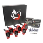Dragon Fire Performance Power Pack Ignition Coil & Iridium Spark Plug Kit Com.... Fixed Price $294.28.