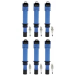 Ignition Coil And Spark Plug Kit For Ram Truck Dodge Dakota Jeep Liberty 1500. Fixed Price $98.99.