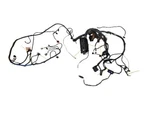 2001 Ford Excursion 6.8L Engine Compartment Wiring Harness Front 1C7T-12A581-EAK. Fixed Price $449.00.