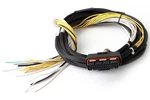 Haltech HPI8 High Power Igniter 2M Flying Lead (loom Only). Fixed Price $150.62.
