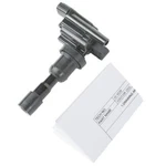 Ignition Coil Delphi GN10385. Fixed Price $196.55.